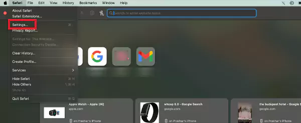 Go to Safari Settings