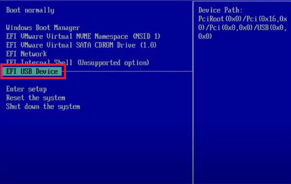Set the USB as the first boot option