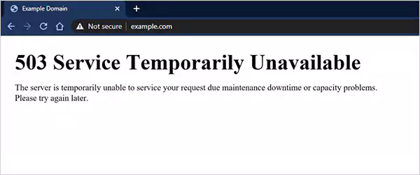 Error 503