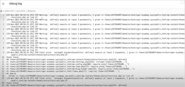 Error logs on WordPress