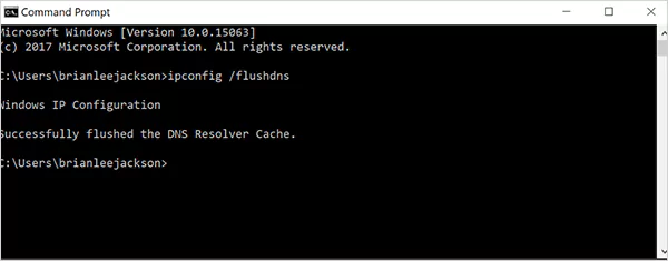 Flush DNS cache on Windows