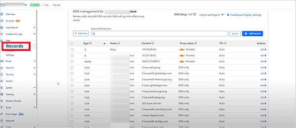 Accessing Your Webs DNS Records under Cloudflare
