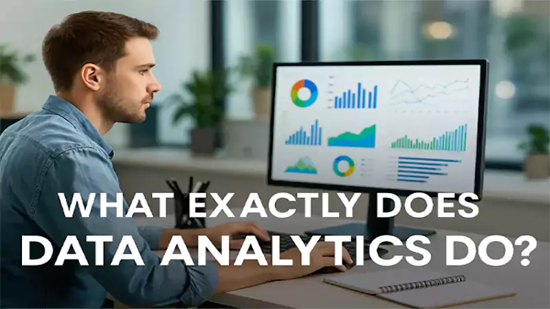 d-What Does a Data Analyst Do