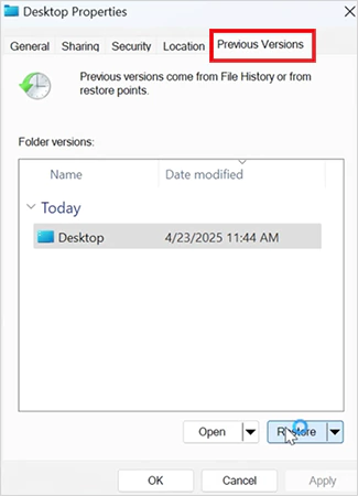 Go to Previous Versions