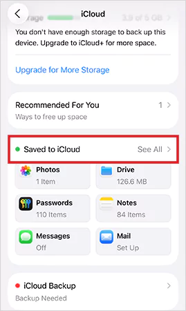 Go to Saved to iCloud