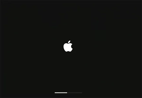 Hold Command plus R until you see the Apple logo