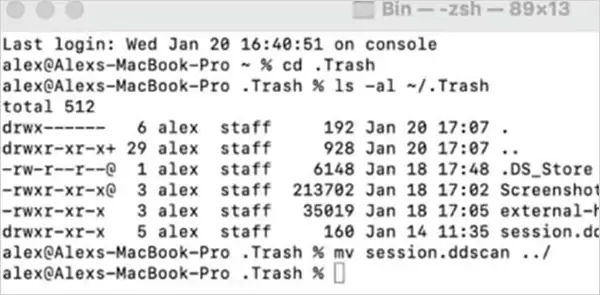 Recover by using Terminal