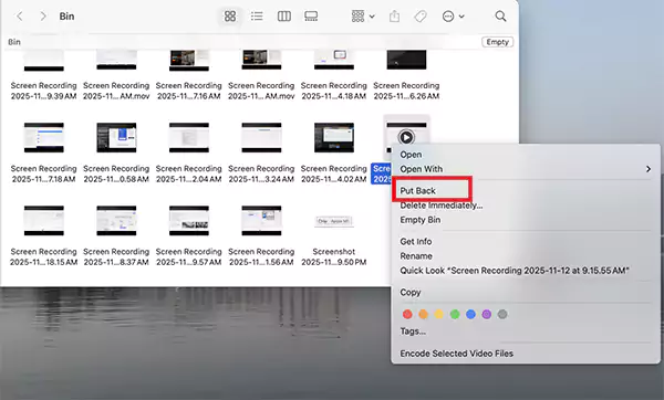 Recover from the Trash Bin