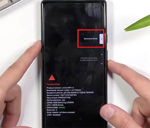 Select the Recovery Mode