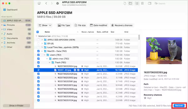 Select the file and click on Recover