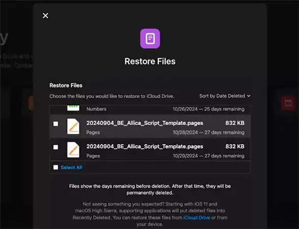 Select the files you want to retrieve