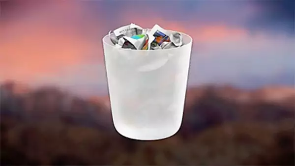Trash or Bin on Mac