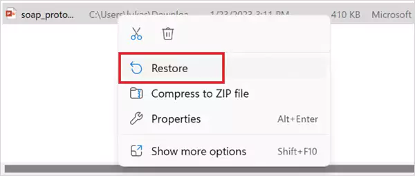 Restore from Recycle Bin