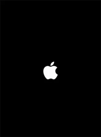 Apple logo appears