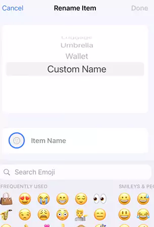 Choose a preset or custom name