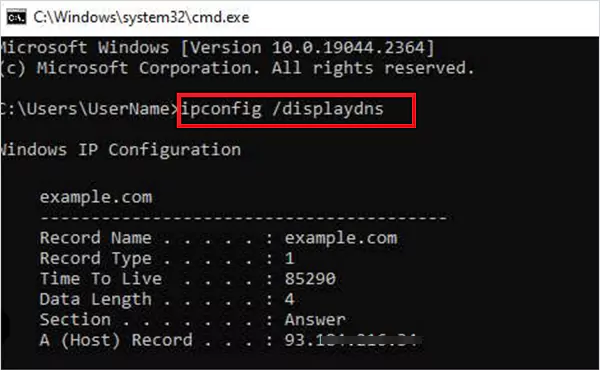Run ipconfig displaydns
