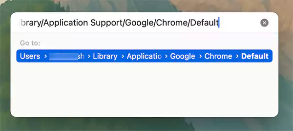 Type Library Application Support Google Chrome Default