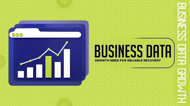 business data growth