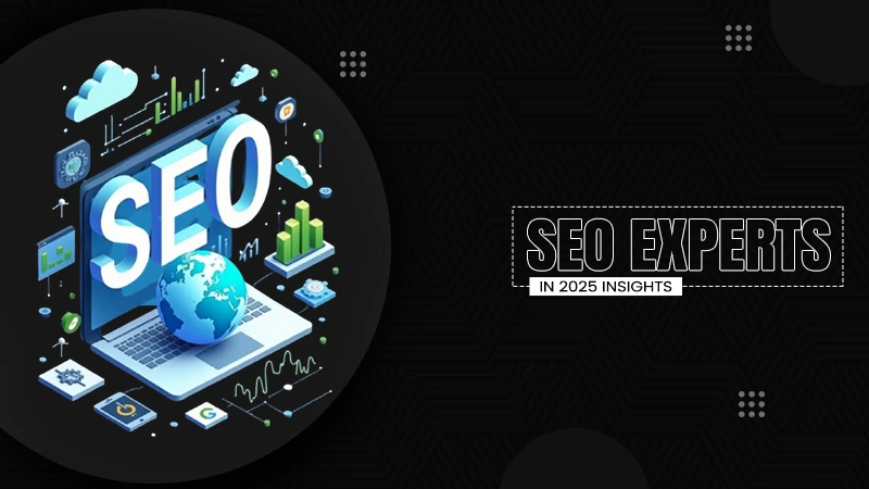 seo expert
