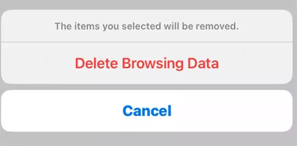 Delete browsing data