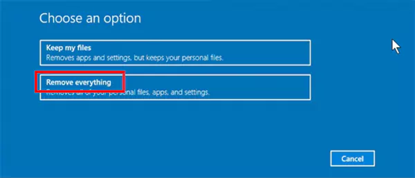 Select Remove everything