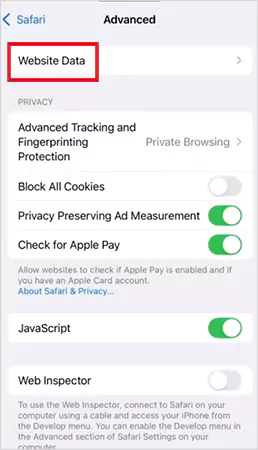 Settings Apps Safari Advanced Website Data