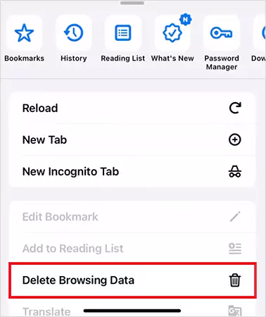 Tap Delete Browser Data