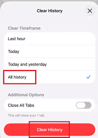 Tap on Clear History to confirm