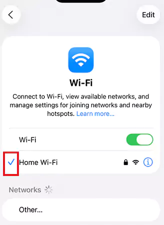 Blue checkmark in iPhone Wi FI