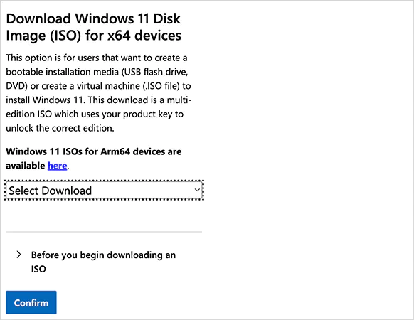 Download Windows ISO file