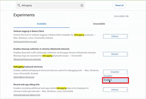 Enable Debugging keyboard shortcuts