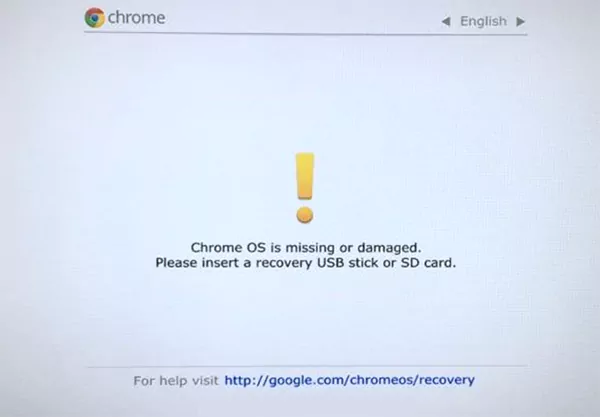 Enable Developer Mode on a Chromebook