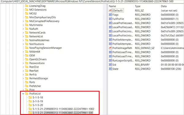 Go to HKEY LOCAL MACHINE SOFTWARE Microsoft Windows NT CurrentVersion ProfileList