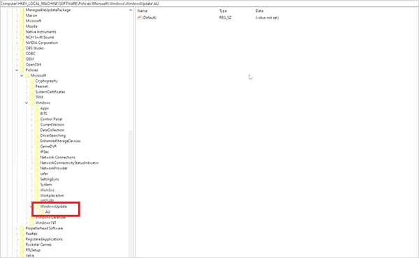 Go to HKEY LOCAL MACHINE SOFTWARE Policies Microsoft Windows WindowsUpdate AU