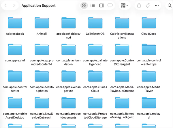 Library Application Support