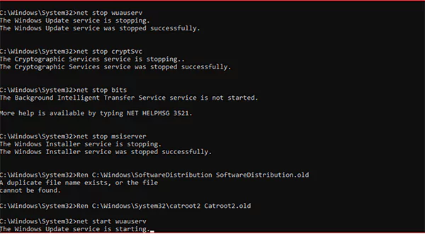 Reset update services
