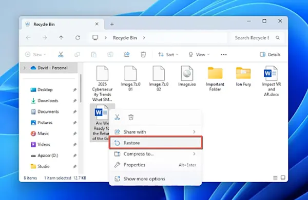 Restore Doc File From Recycle Bin