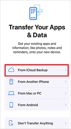 Restore from iCloud Backup