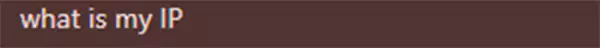 Search What is My IP