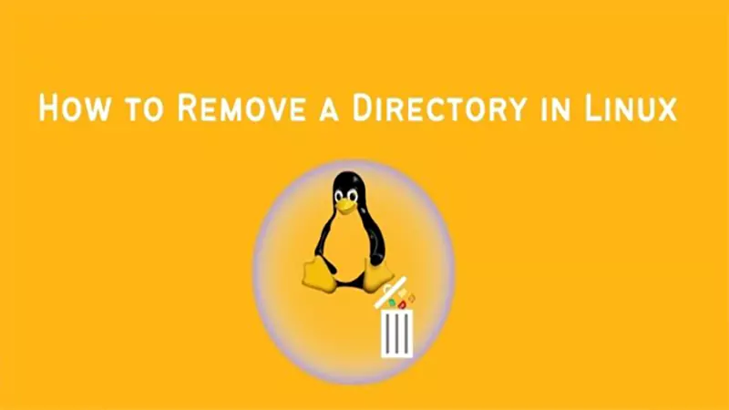 d-Remove a Directory in Linux