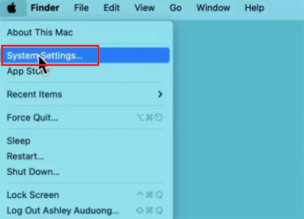 Apple menu System Settings