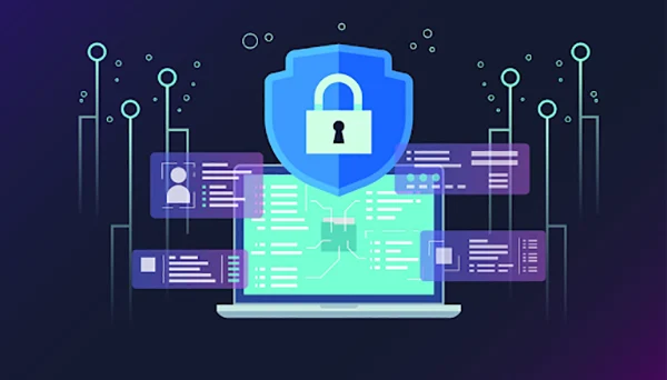 Data privacy software