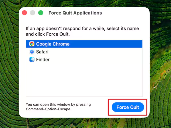 Force Quit the problematic app