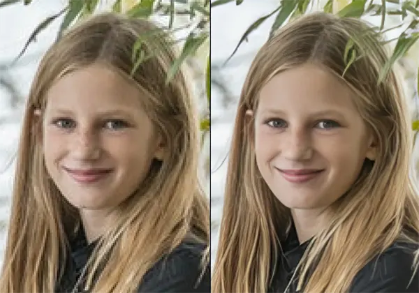 Image Quality Recovery