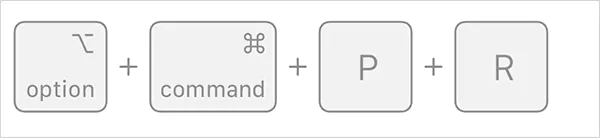 Press and hold Option Command P R