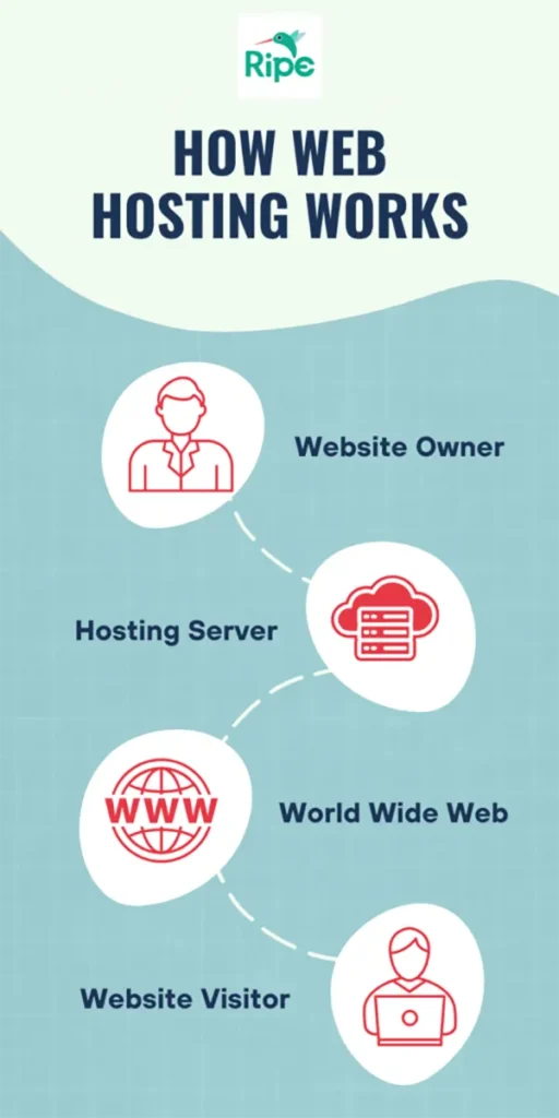 How does website hosting work.