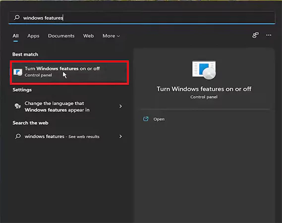 Open Turn Windows features on or off