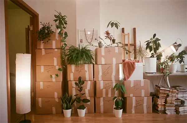 Removal Company