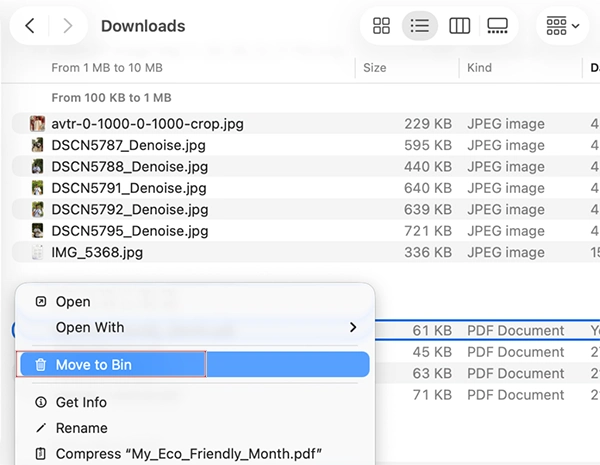 Delete downloaded files