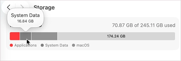 System Data on a Mac